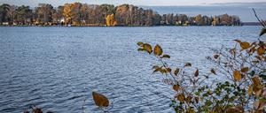 Durch den Wald ans Wasser. Die Wanderung von Grünau nach Schmöckwitz lockt mit fantastischen Ausblicken.
