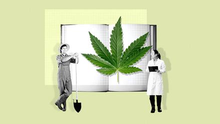 Jetzt neu: Cannabis-Studium in Deutschland.