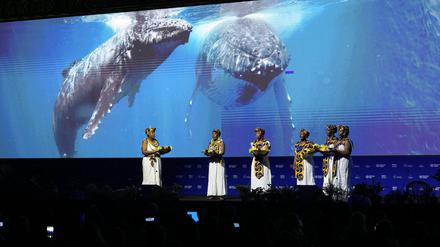 Afrokolumbianische Frauen treten während der Eröffnungszeremonie der COP16 in Cali, Kolumbien, auf.