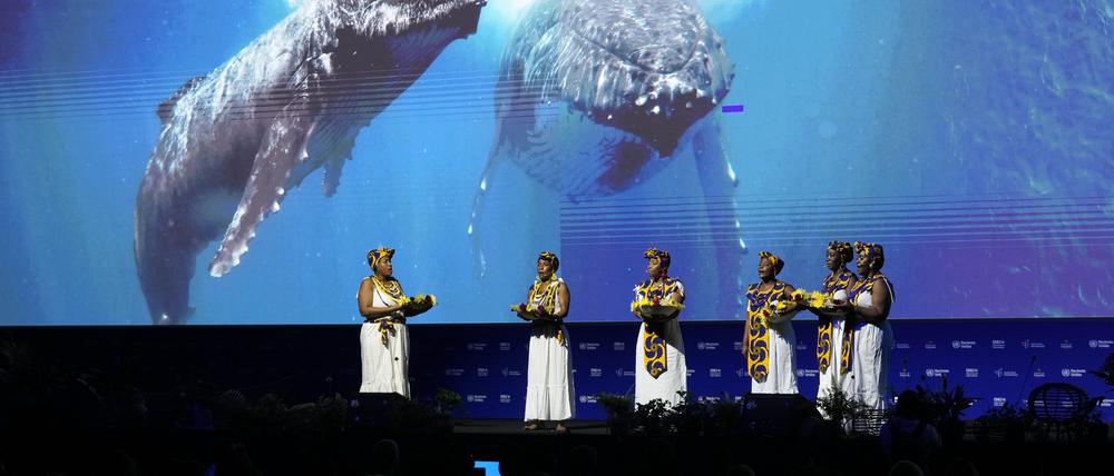 Afrokolumbianische Frauen treten während der Eröffnungszeremonie der COP16 in Cali, Kolumbien, auf.