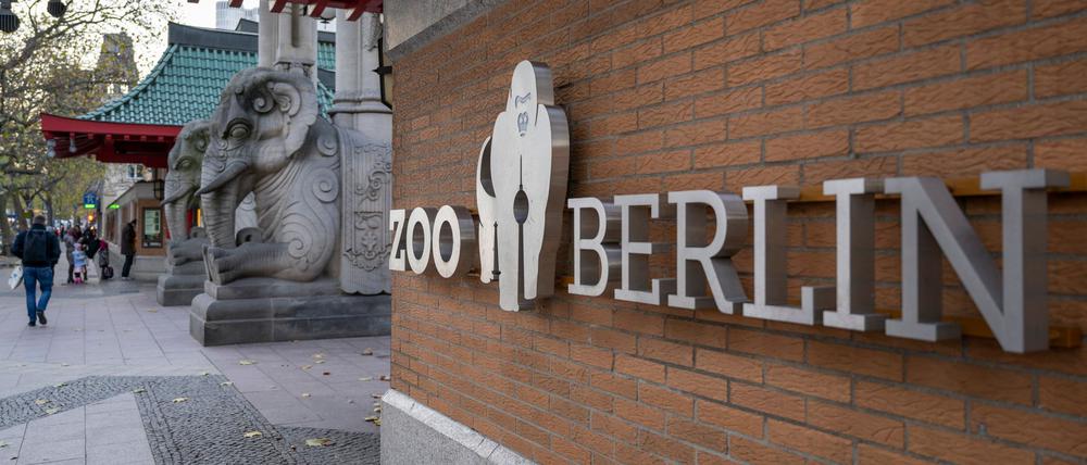 Auch der Berliner Zoo beteiligt sich am Aktionstag für Ehrenamtler. (Symbolbild)