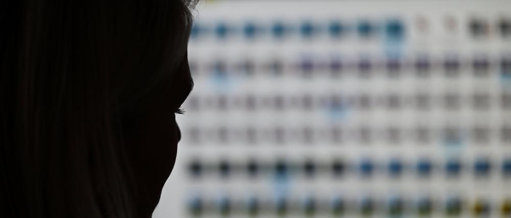 Hessen, Wiesbaden: Eine Ermittlerin der Besonderen Aufbauorganisation BAO Fokus (Fallübergreifende Organisationsstruktur gegen Kinderpornografie und sexuellen Missbrauch von Kindern) sitzt im Landeskriminalamt Hessen vor einem Monitor mit Fotodateien. Vor einem Pariser Schwurgericht hat der Prozess gegen einen Mann begonnen, der Hunderte Vergewaltigungen von Mädchen auf den Philippinen in Auftrag gegeben und an seinem Computer direkt per Livestream verfolgt haben soll.