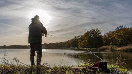 Die Angler betrachten die Entwicklung der Fischbestände. 