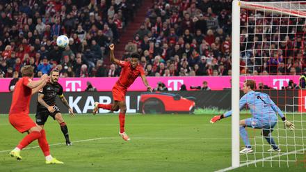 Gleich trifft Harry Kane zum 3:0. Dabei beließen es die Bayern anschließend.