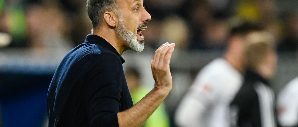 Hoffenheim-Trainer Pellegrino Matarazzo hat nach der Heim-Niederlage gegen den FC St. Pauli heftige Kritik an seiner Mannschaft geübt. 
