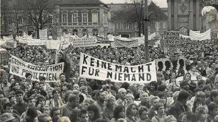 Am 4. November 1989 kamen am Potsdamer Platz der Nationen, dem heutigen Luisenplatz, kamen viele Tausend Menschen zusammen.