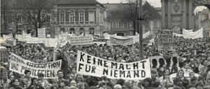 Am 4. November 1989 kamen am Potsdamer Platz der Nationen, dem heutigen Luisenplatz, kamen viele Tausend Menschen zusammen.