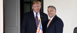 Ungarns Ministerpräsident Viktor Orban (rechts) und der republikanische Präsidentschaftskandidat Donald Trump.