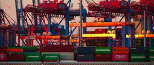  Container werden am Container-Terminal Burchardkai im Hamburger Hafen gelagert.