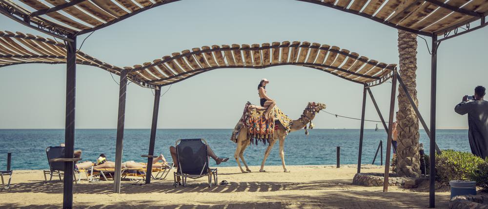 Vorsicht: Manchmal lässt sich der Urlauber in Ägypten zum Kamel machen.
