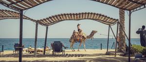 Vorsicht: Manchmal lässt sich der Urlauber in Ägypten zum Kamel machen.