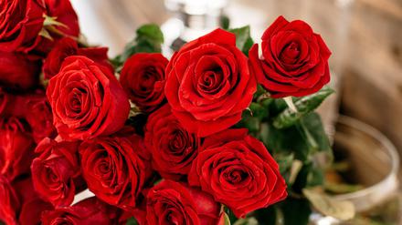 Ein roter Rosenstrauß.