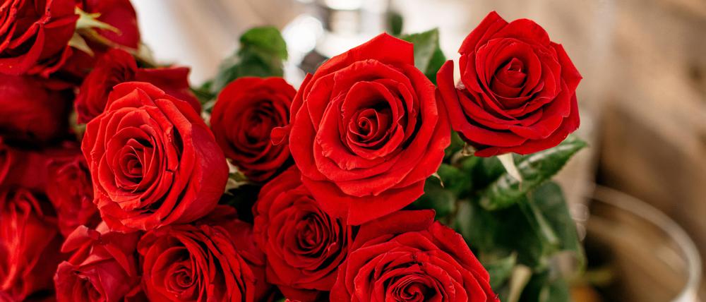 Ein roter Rosenstrauß.