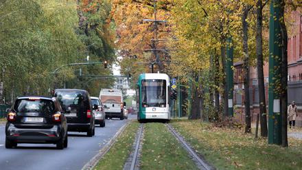 Eine Straßenbahn fährt auf ihrer Trasse in der Nedlitzer Straße.