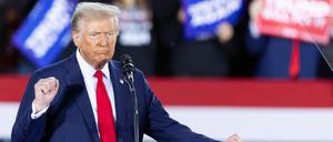 Donald Trump behauptet stets, dass über die Grenze zu Mexiko in großem Stil Kriminelle und Drogen in die USA kämen. 