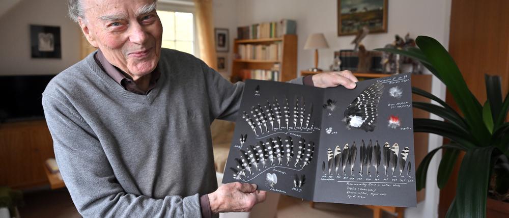 Lothar Kalbe ist seit 1960 in der Potsdamer Fachgruppe Ornithologie aktiv. Hier zeigt er Federn des Buntspechtes aus seiner Federnsammlung.