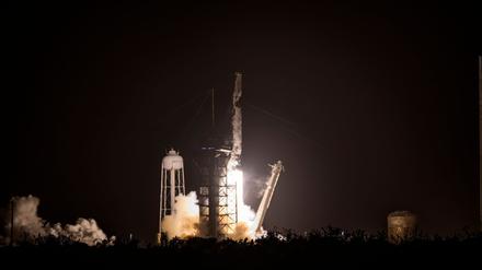 An Bord einer Falcon 9-Rakete von SpaceX wurde „Lignosat“ ins All befördert. 