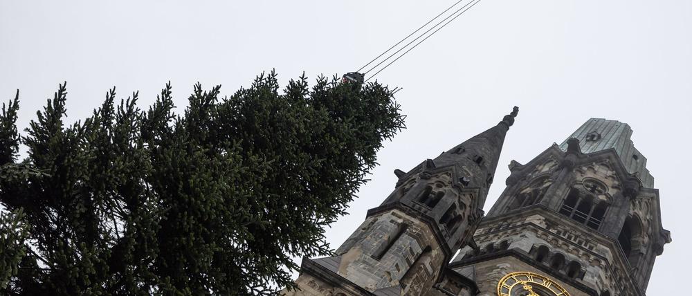 Diesmal ohne Zwischenfälle: Der Weihnachtsbaum landet an der Gedächtniskirche.