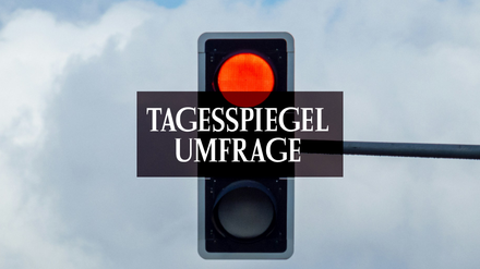 Tagesspiegel Umfrage