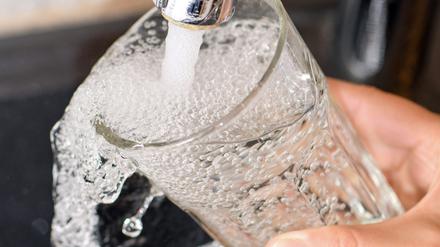Am Wasserhahn in einer Küche wird ein Trinkglas mit Leitungswasser befüllt.  (Symbolbild)