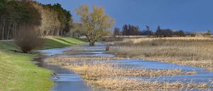 In der Uckermark wird der Hochwasserschutz verbessert - etwa mit einem Bauwerk zur Flutung von Polderflächen. (Archivbild)