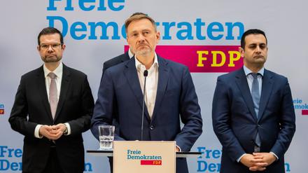 Die FDP-Spitze.