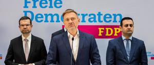 Die FDP-Spitze.