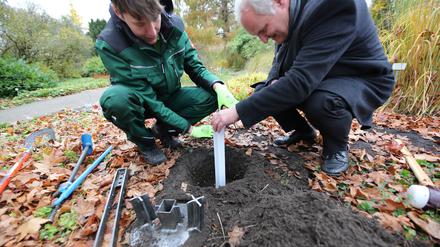 Bernd Rubelt (rechts), Beigeordneter für Stadtentwicklung, Bauen, Wirtschaft und Umwelt, und Thomas Maier von der Firma Agvolution versenken einen Bodenfeuchtesensor auf der Freundschaftsinsel.