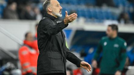Wieder kein Sieg für TSG-Coach Pellegrino Matarazzo