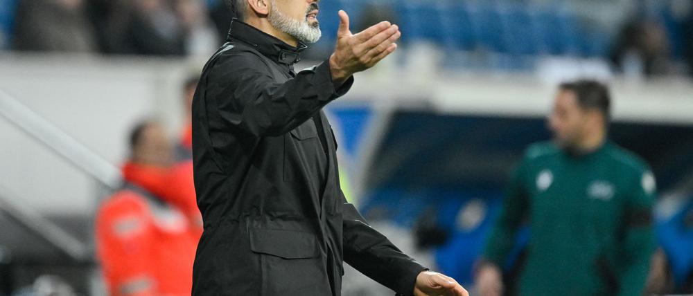 Wieder kein Sieg für TSG-Coach Pellegrino Matarazzo