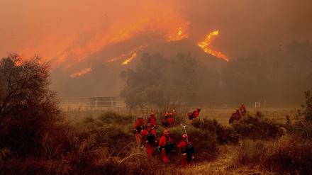 Feuerwehrleute kämpfen gegen das „Mountain Fire“ in Kalifornien.