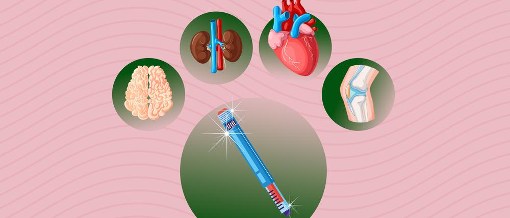 Schmerzfreies Knie, gesünderes Herz, stabilere Nieren: Ist der Wirkstoff in Abnehmspritzen wirklich so vielseitig, wie es scheint?