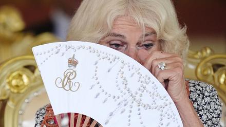 Die britische Königin Camilla leidet an einer saisonalen Atemwegsinfektion. (Archivbild)