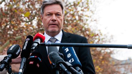 Die Grünen sind offen für einen früheren Neuwahltermin als von Scholz angestrebt.