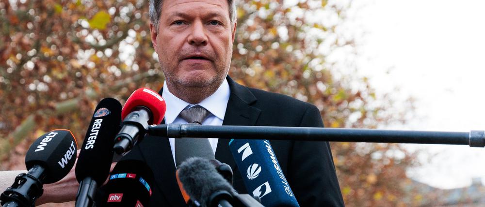 Die Grünen sind offen für einen früheren Neuwahltermin als von Scholz angestrebt.