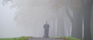 Neblig-trüb und mit Sprühregen startet die neue Woche in Berlin und Brandenburg.