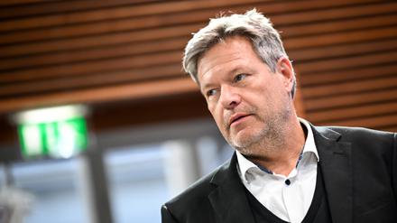 Frieden schaffen mit mehr Waffen? Robert Habeck will mehr Geld für die Bundeswehr. 