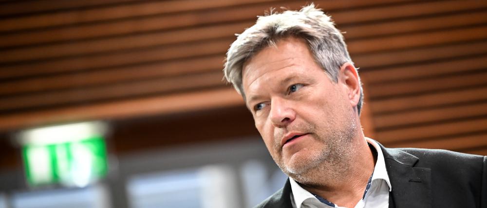 Frieden schaffen mit mehr Waffen? Robert Habeck will mehr Geld für die Bundeswehr. 