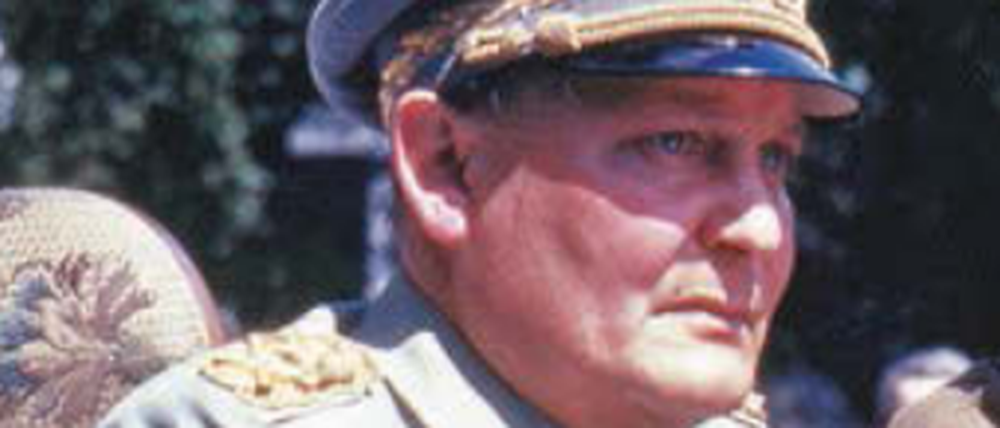 Göring nach seiner Verhaftung. Das Bild illustriert nach viel Hin und Her seinen Wikipedia-Eintrag.