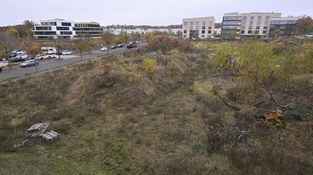 Das neue Gebäude wird am Campus Jungfernsee errichtet. 