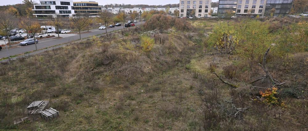 Das neue Gebäude wird am Campus Jungfernsee errichtet. 