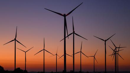 Das Klimabündnis Brandenburg setzt sich für einen Ausbau der Öko-Energien ein. (Archivbild)
