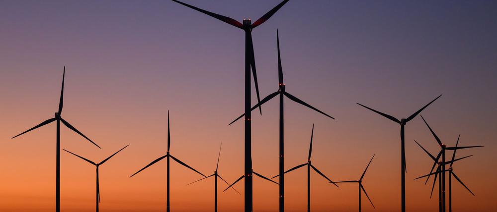 Das Klimabündnis Brandenburg setzt sich für einen Ausbau der Öko-Energien ein. (Archivbild)