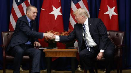 US-Präsident Donald Trump und Präsident Recep Tayyip Erdogan können gut miteinander (Archivbild aus dem Jahr 2017).