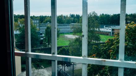 Grün ist die Hoffnung, grau das Gefängnis: Blick aus einem Raum der JVA Tegel.