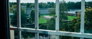 Grün ist die Hoffnung, grau das Gefängnis: Blick aus einem Raum der JVA Tegel.