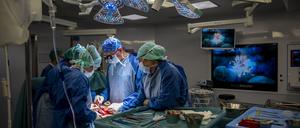 Das Personal eines Operationssaals führt eine Transplantation durch, nachdem es einem Spender eine Niere entnommen hat.