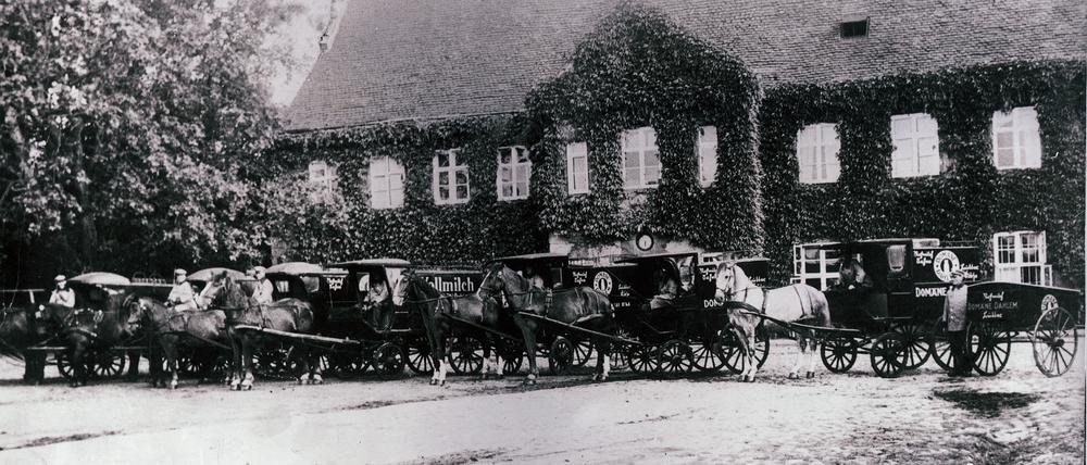 Domäne Dahlem um 1935: Parade der Milchwagen für die „Dahlemer Vorzugsmilch“.
