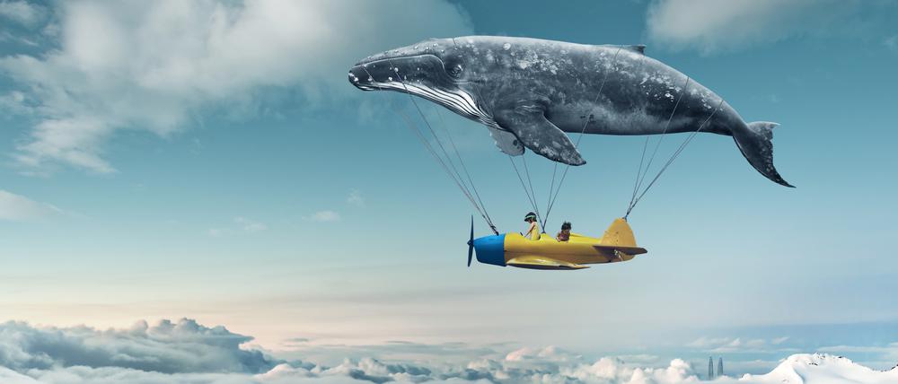 Fliegen ist ein häufigeres Traumthema, aber die Bedeutung der Bilder kann sich für jeden Träumenden unterscheiden.