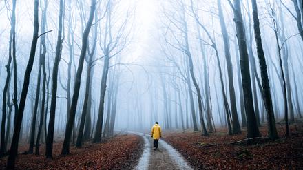 Eine Person läuft bei Nebel durch einen herbstlichen Wald.